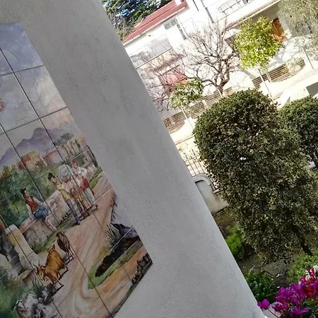 Mary 特拉尼